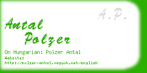 antal polzer business card